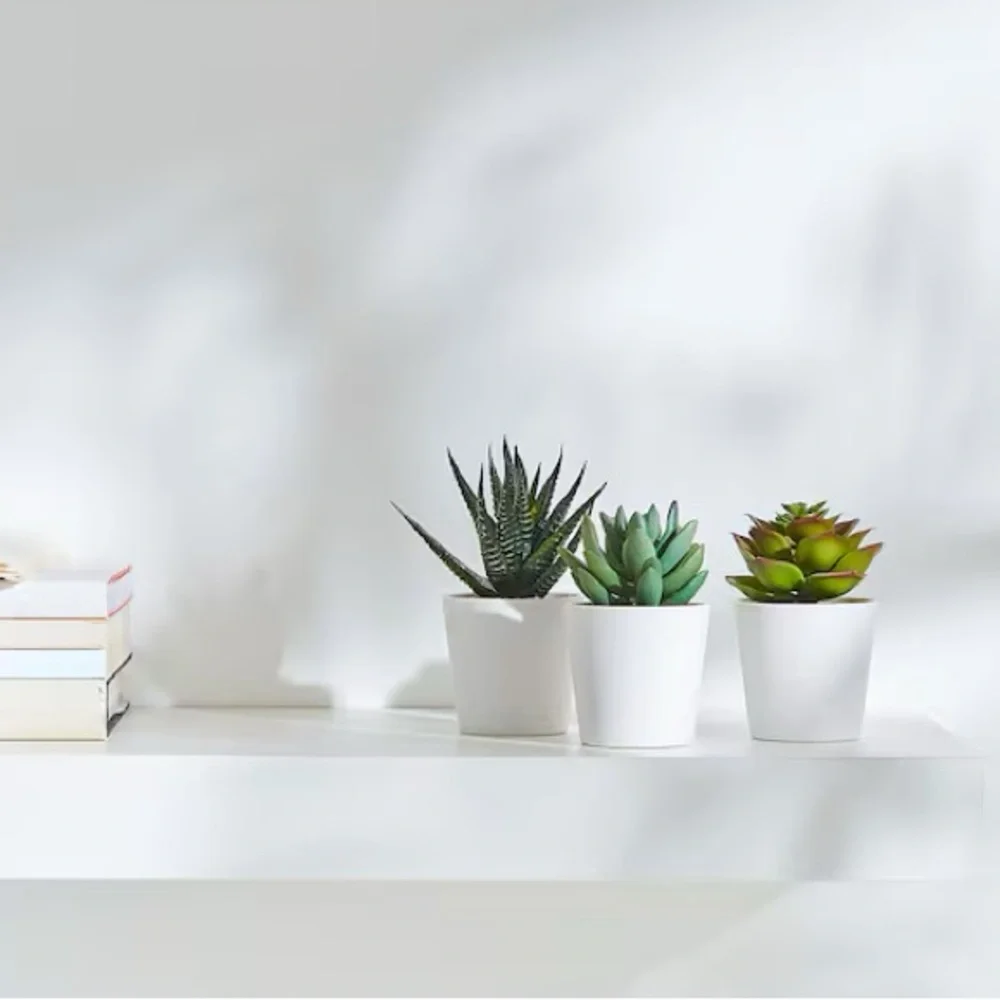 IKEA Succulent Set of 3